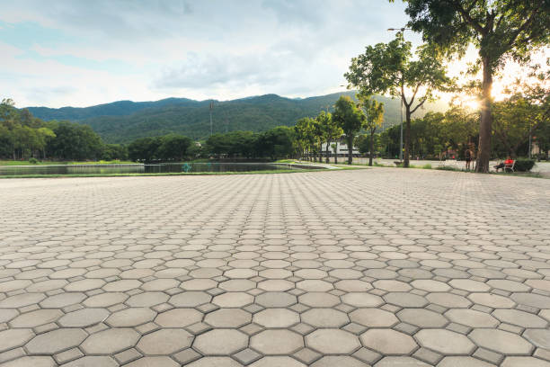 Best Driveway Pavers Near Me  in Trophy Clu, TX